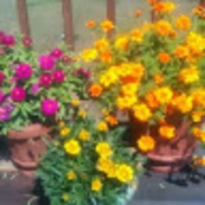 Meet your Posher, Teresa